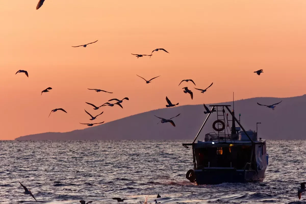 The Katchatheevu Dispute