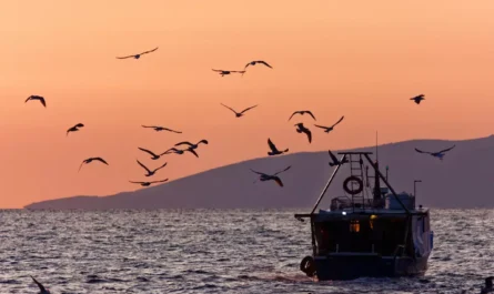 The Katchatheevu Dispute