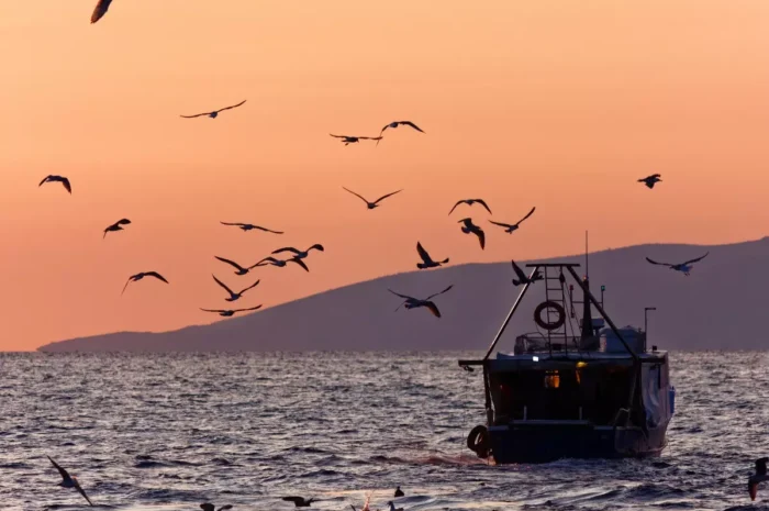 The Katchatheevu Dispute and the Palk Strait Fishing Conflict